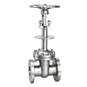 ANSI Cryogenic Gate Valve