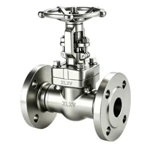 ANSI Forged Steel Flanged Gate Valve