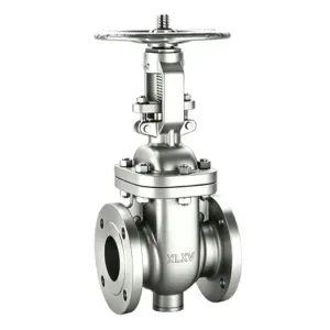 ANSI Gate Valve