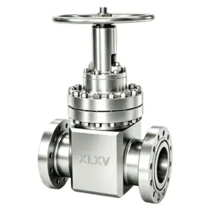 ANSI High Pressure Gate Valve
