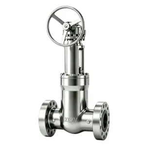 ANSI Pressure Seal Gate Valve