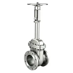 Cryogenic Extended Stem Gate Valve