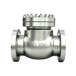Cryogenic Flanged Check Valve