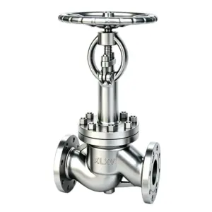 Cryogenic Flanged Globe Valve 0