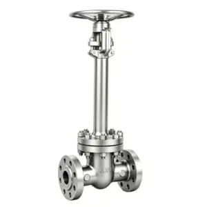 Cryogenic Flanged Globe Valve
