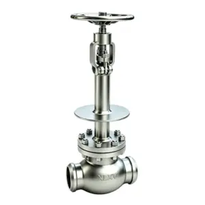 Cryogenic Welded Globe Valve