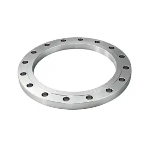 Large Diameter Flange