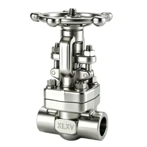 Welded Forged Steel Gate Valve