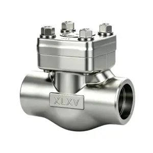 Welded Forged Steel Lift Check Valve